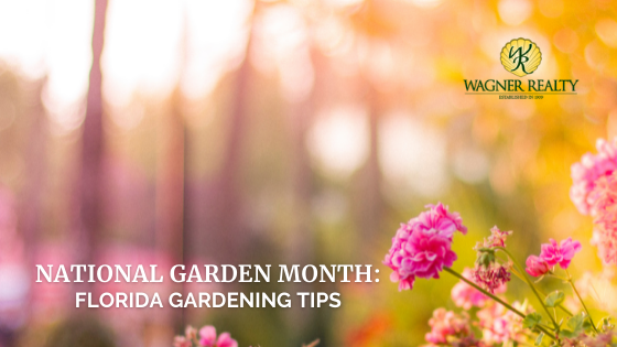 Florida Garden